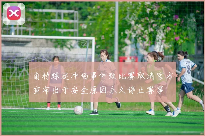 南特球迷冲场事件致比赛取消官方宣布出于安全原因永久停止赛事